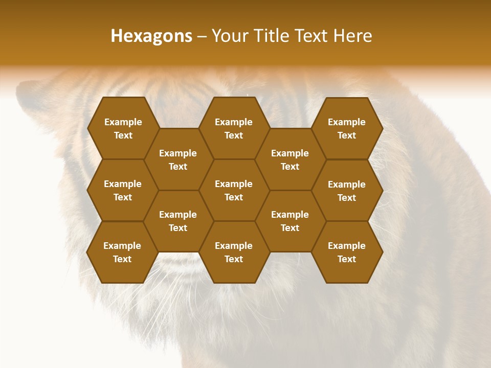 Big Shot Tiger PowerPoint Template