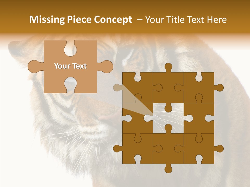 Big Shot Tiger PowerPoint Template