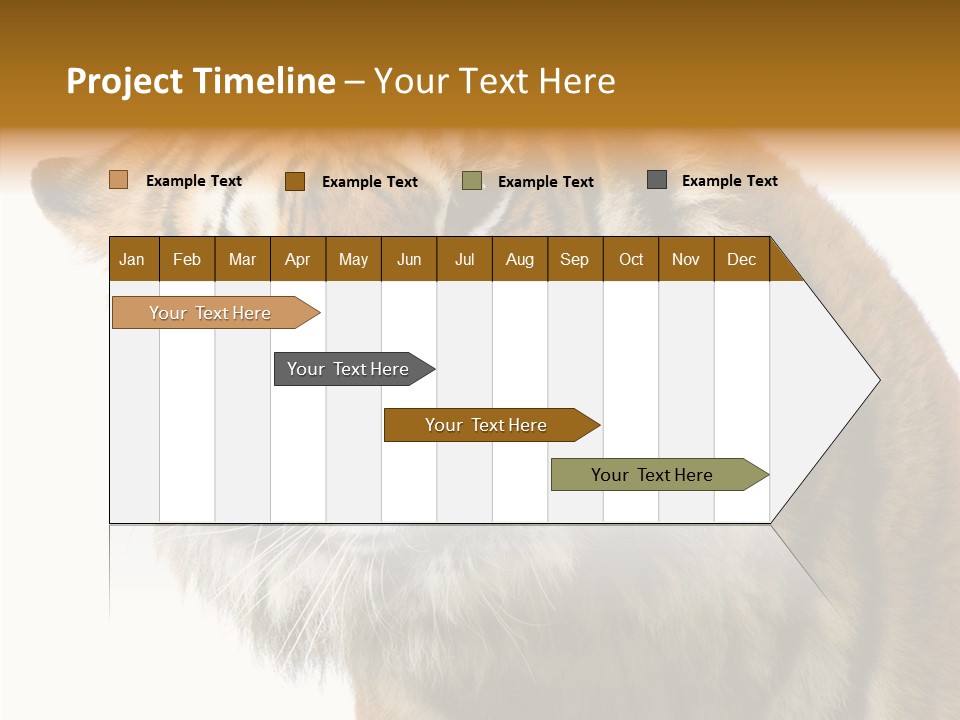 Big Shot Tiger PowerPoint Template