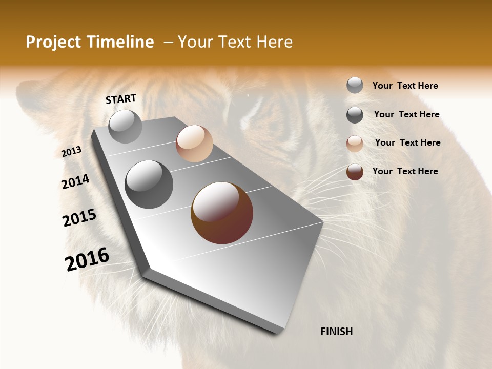 Big Shot Tiger PowerPoint Template