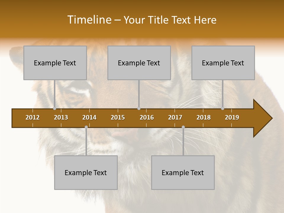 Big Shot Tiger PowerPoint Template