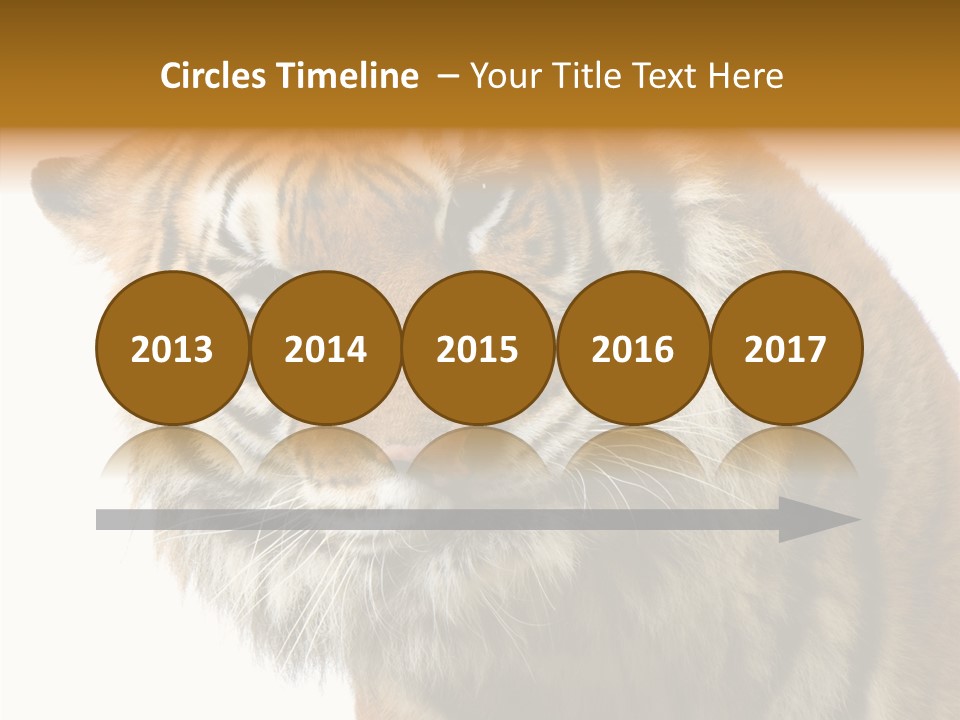 Big Shot Tiger PowerPoint Template