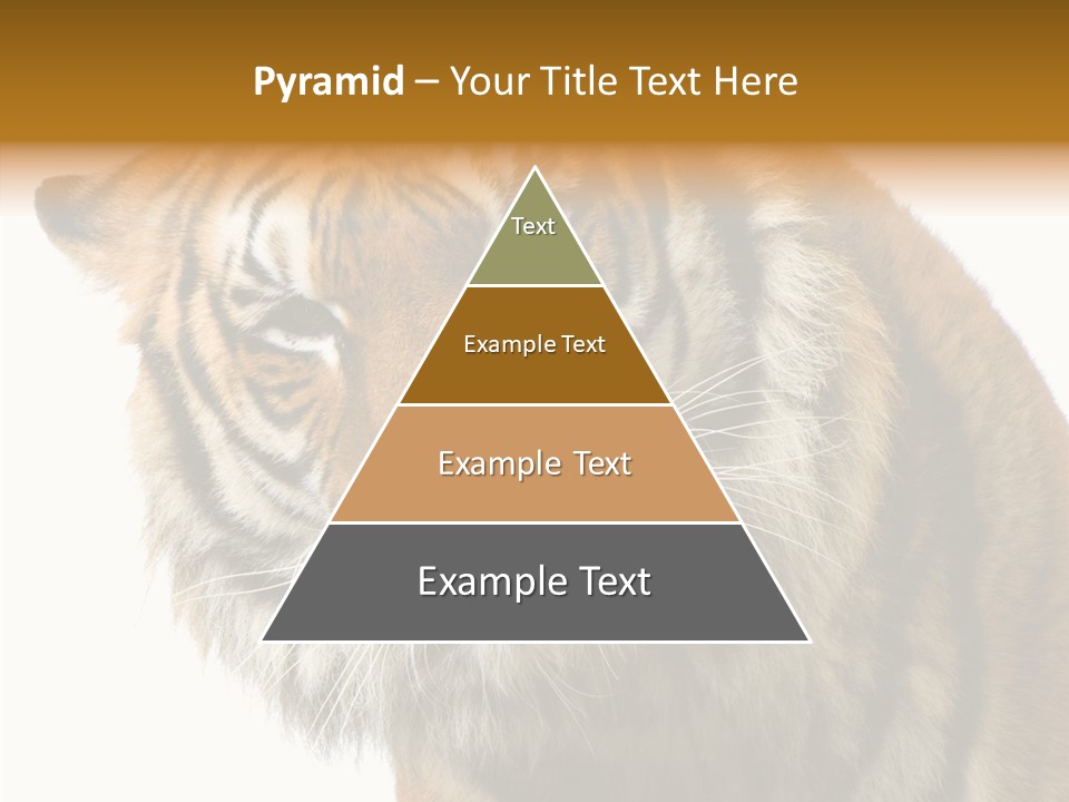 Big Shot Tiger PowerPoint Template