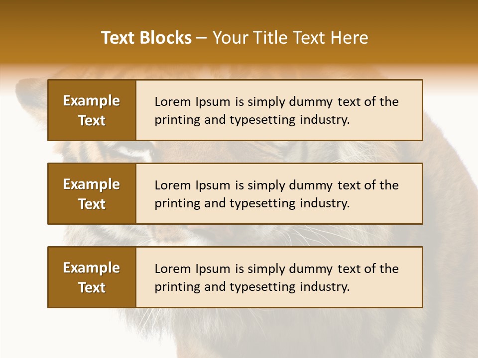 Big Shot Tiger PowerPoint Template