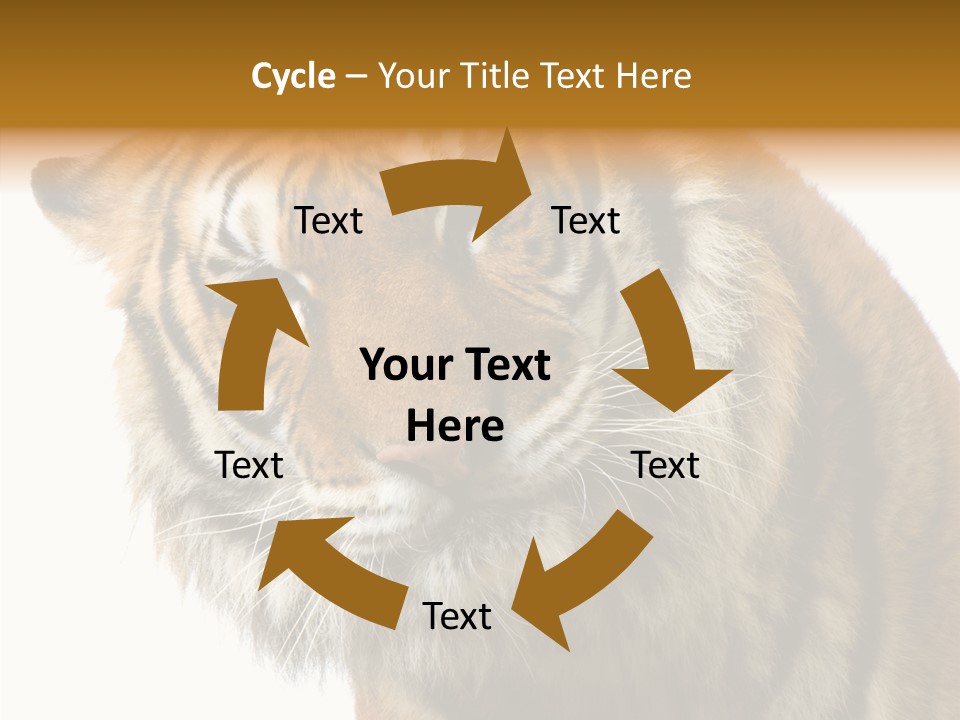 Big Shot Tiger PowerPoint Template
