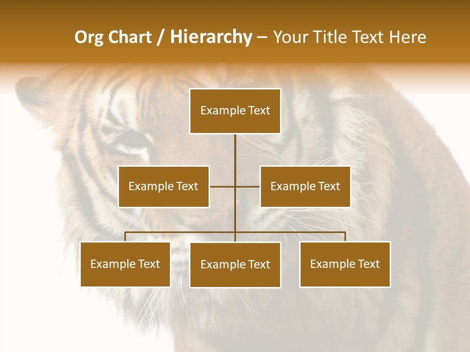 Big Shot Tiger PowerPoint Template