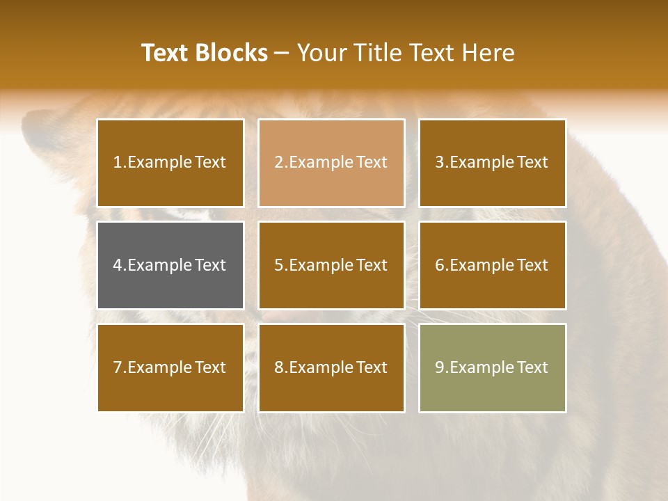 Big Shot Tiger PowerPoint Template