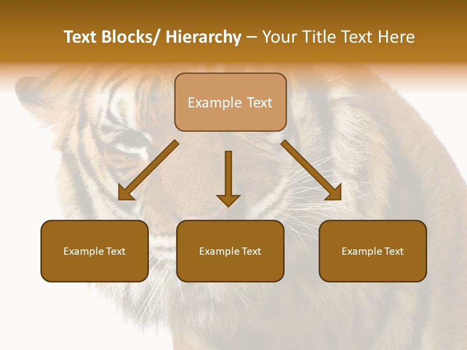 Big Shot Tiger PowerPoint Template