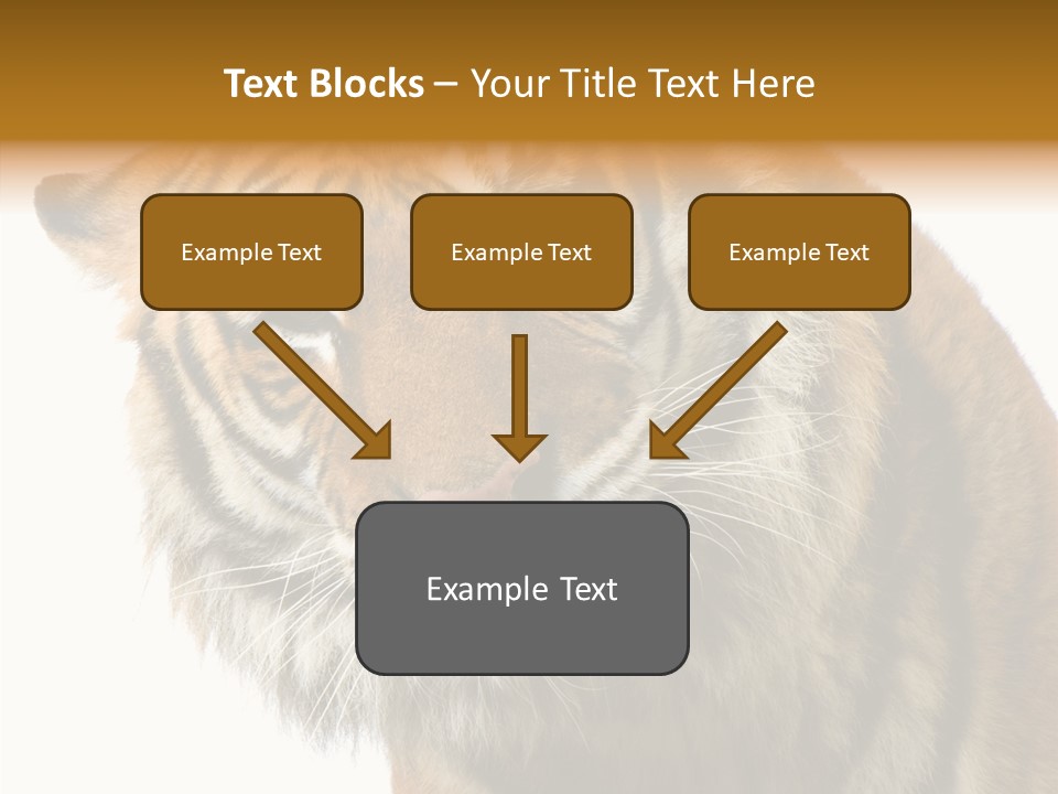 Big Shot Tiger PowerPoint Template