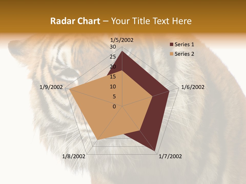 Big Shot Tiger PowerPoint Template