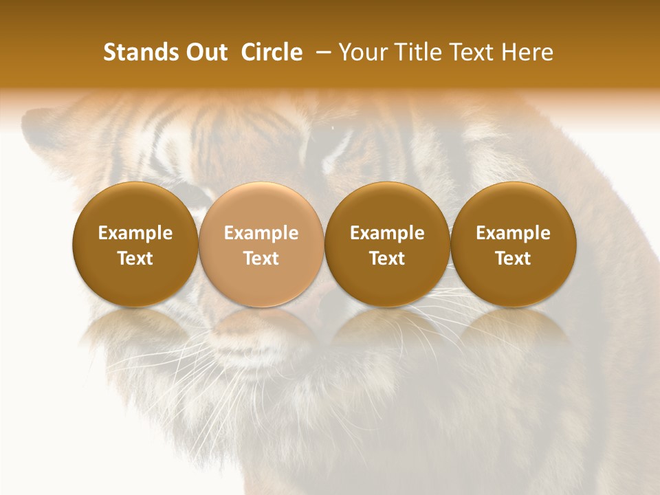 Big Shot Tiger PowerPoint Template