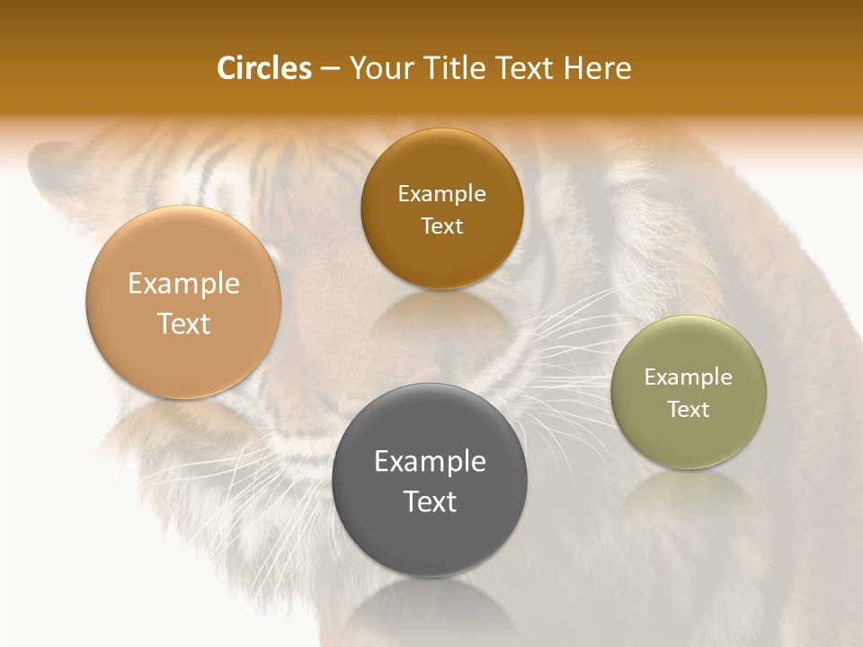 Big Shot Tiger PowerPoint Template