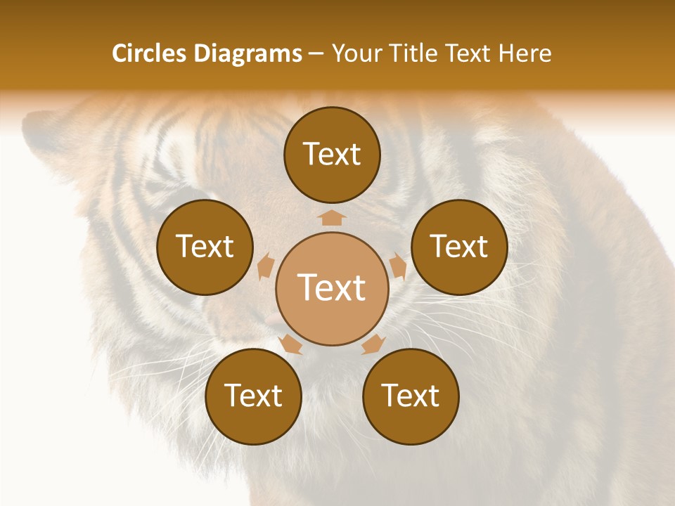 Big Shot Tiger PowerPoint Template