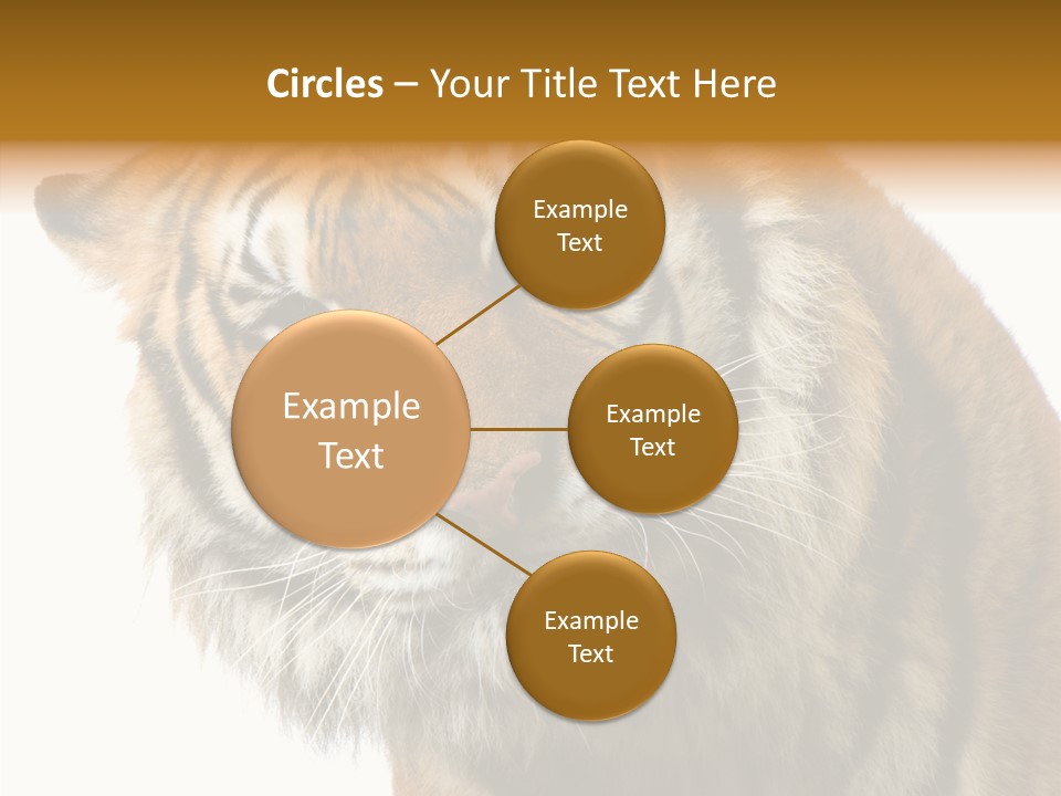 Big Shot Tiger PowerPoint Template