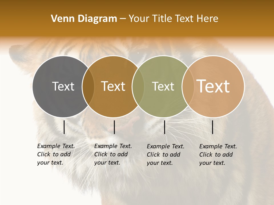 Big Shot Tiger PowerPoint Template