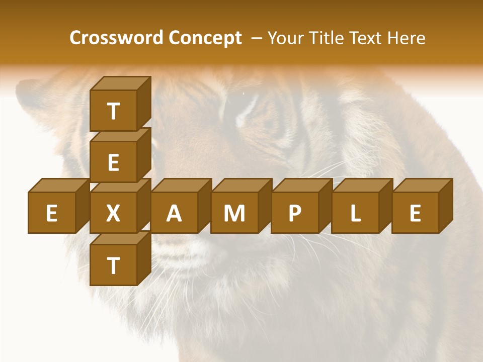 Big Shot Tiger PowerPoint Template