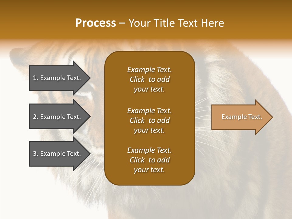 Big Shot Tiger PowerPoint Template