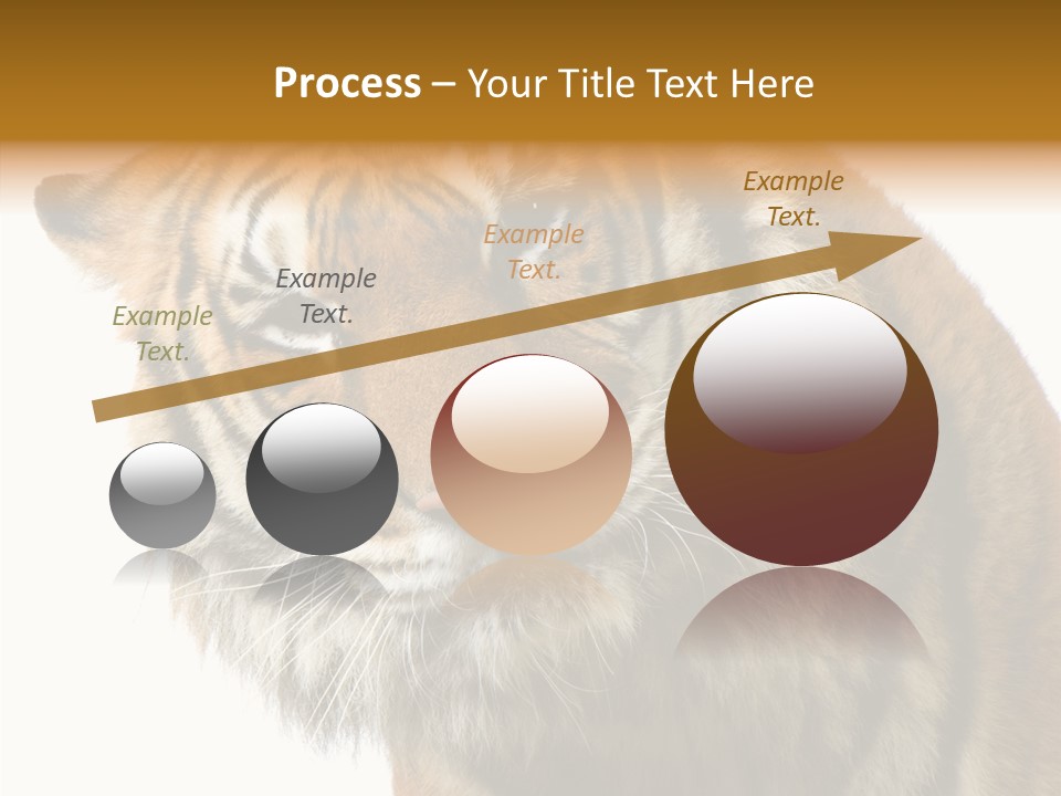 Big Shot Tiger PowerPoint Template