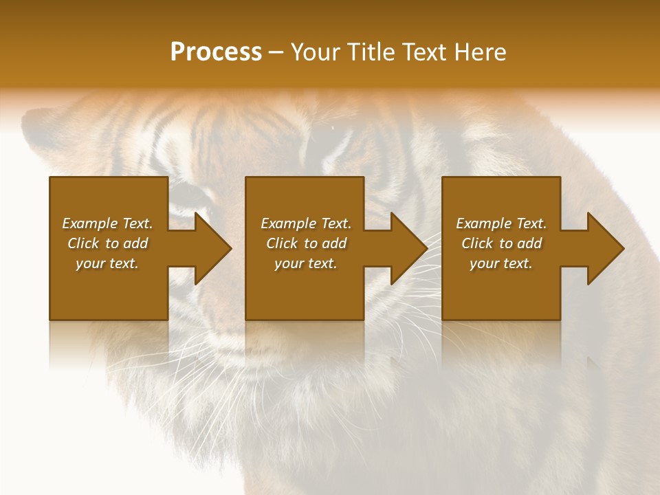 Big Shot Tiger PowerPoint Template