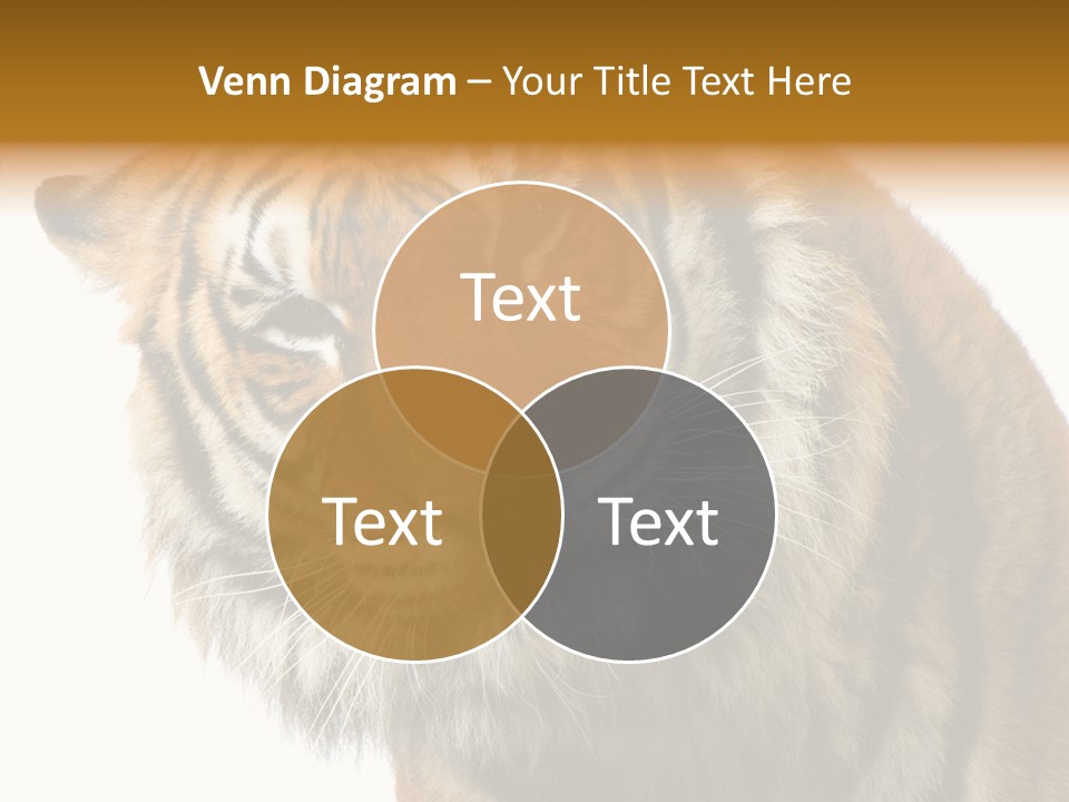 Big Shot Tiger PowerPoint Template