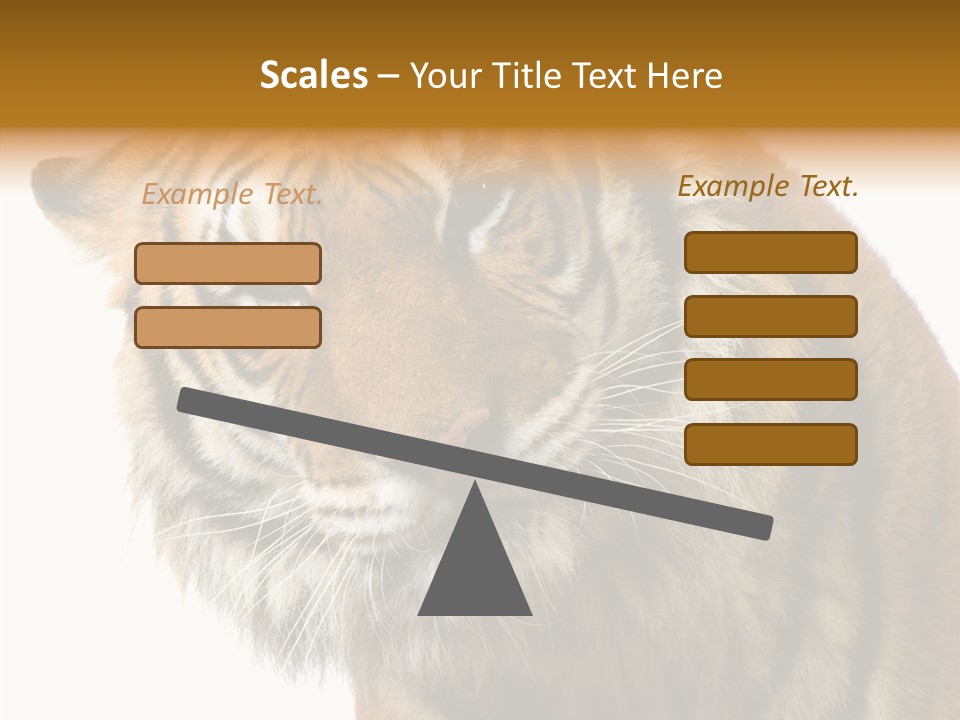 Big Shot Tiger PowerPoint Template