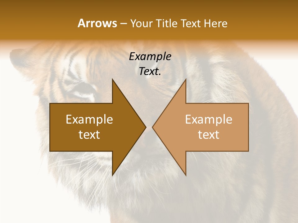 Big Shot Tiger PowerPoint Template