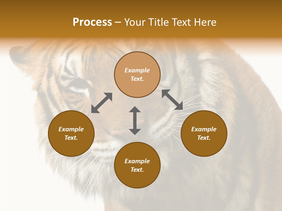Big Shot Tiger PowerPoint Template