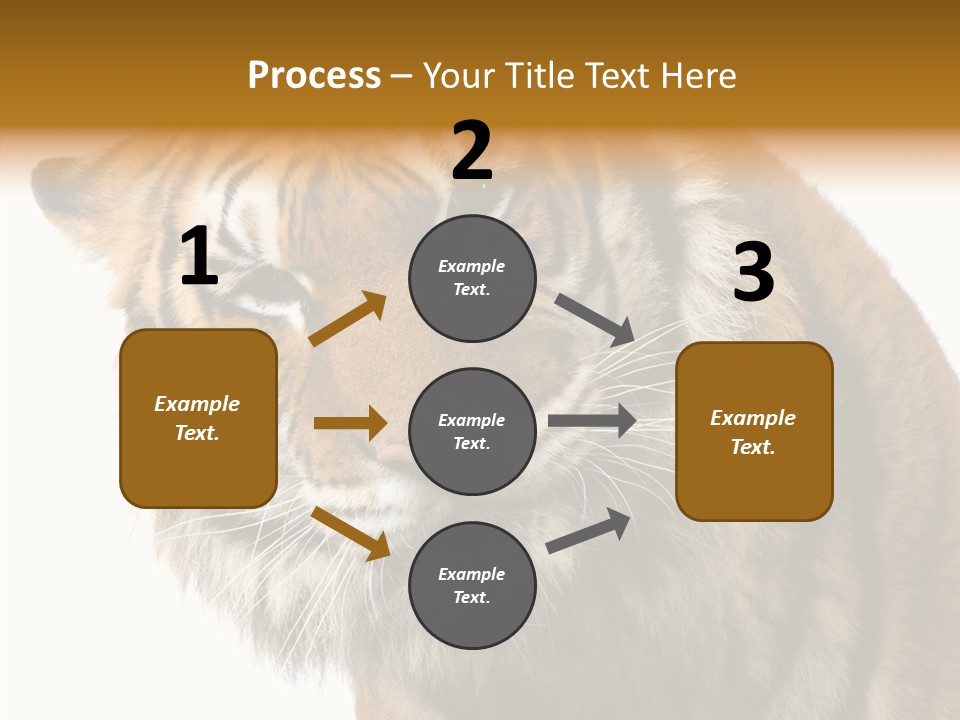 Big Shot Tiger PowerPoint Template