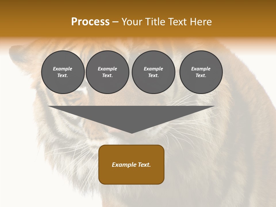 Big Shot Tiger PowerPoint Template