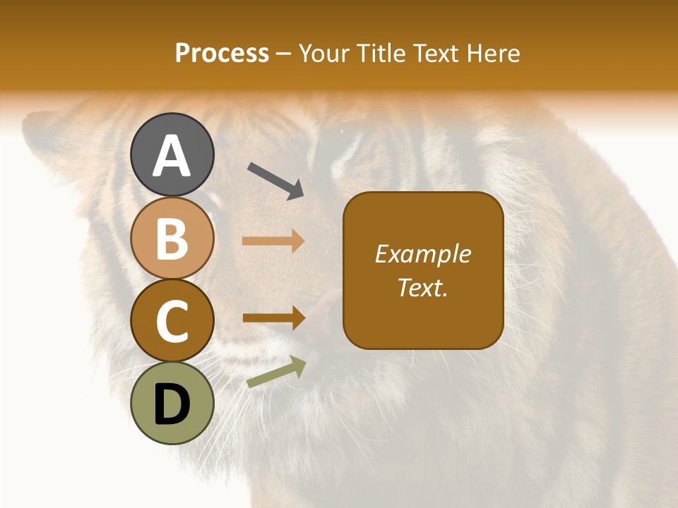 Big Shot Tiger PowerPoint Template