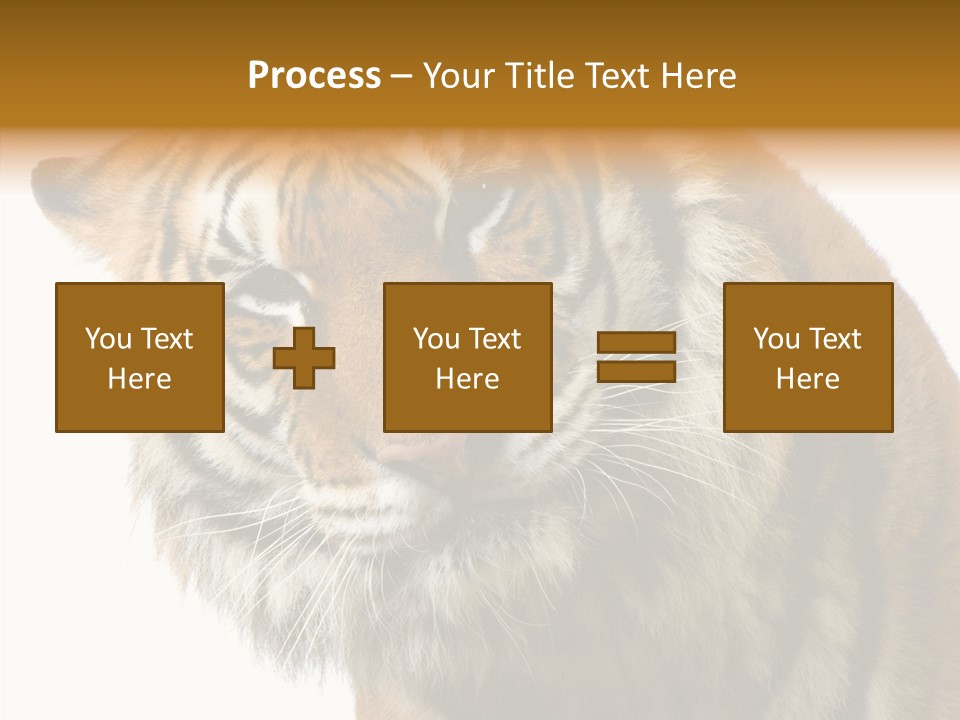 Big Shot Tiger PowerPoint Template