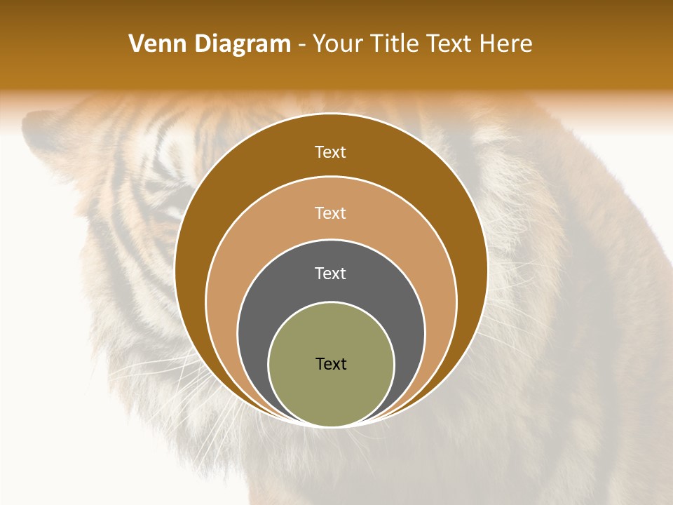 Big Shot Tiger PowerPoint Template