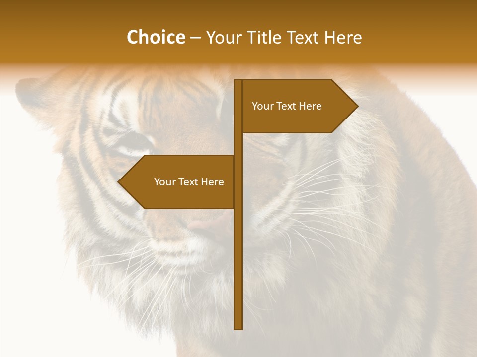 Big Shot Tiger PowerPoint Template