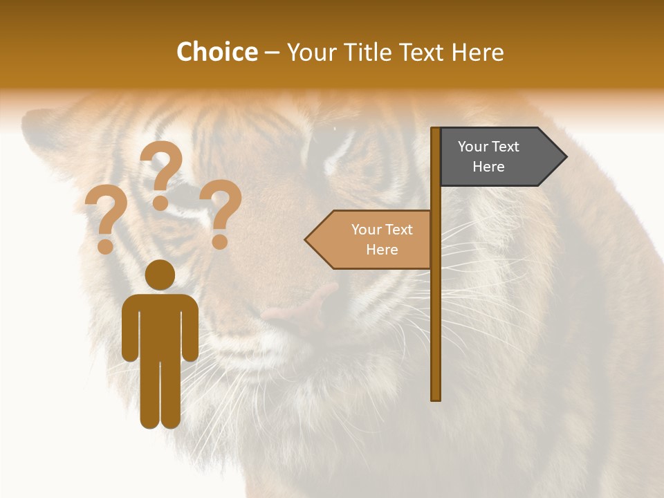 Big Shot Tiger PowerPoint Template