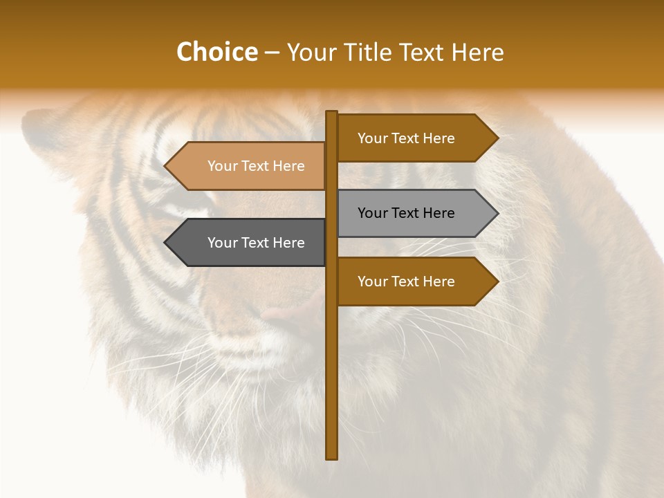 Big Shot Tiger PowerPoint Template