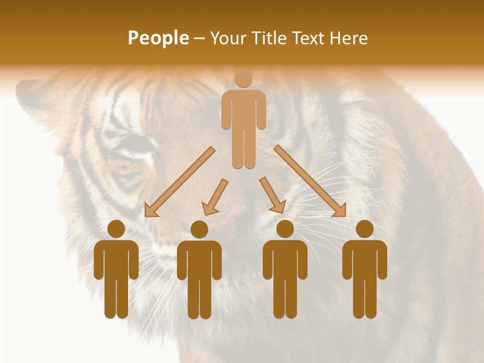 Big Shot Tiger PowerPoint Template