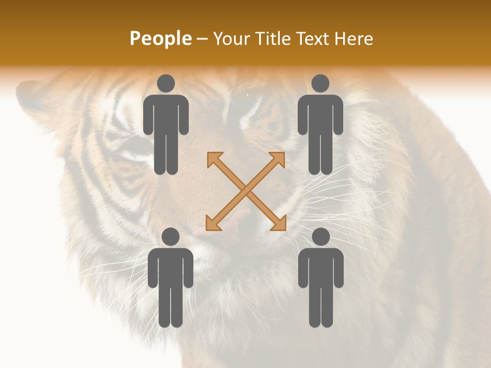 Big Shot Tiger PowerPoint Template