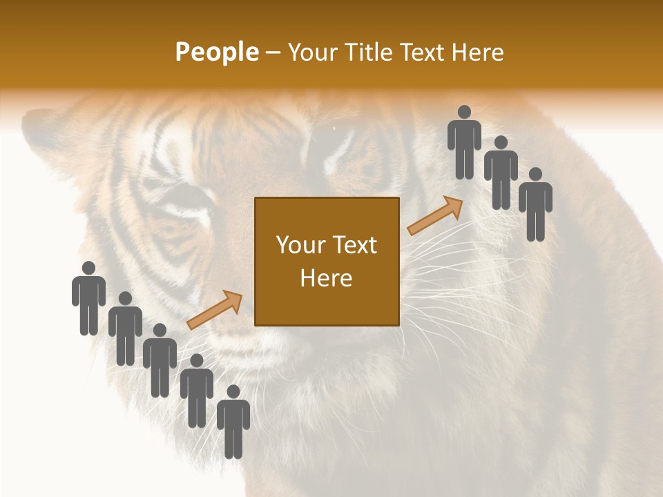 Big Shot Tiger PowerPoint Template