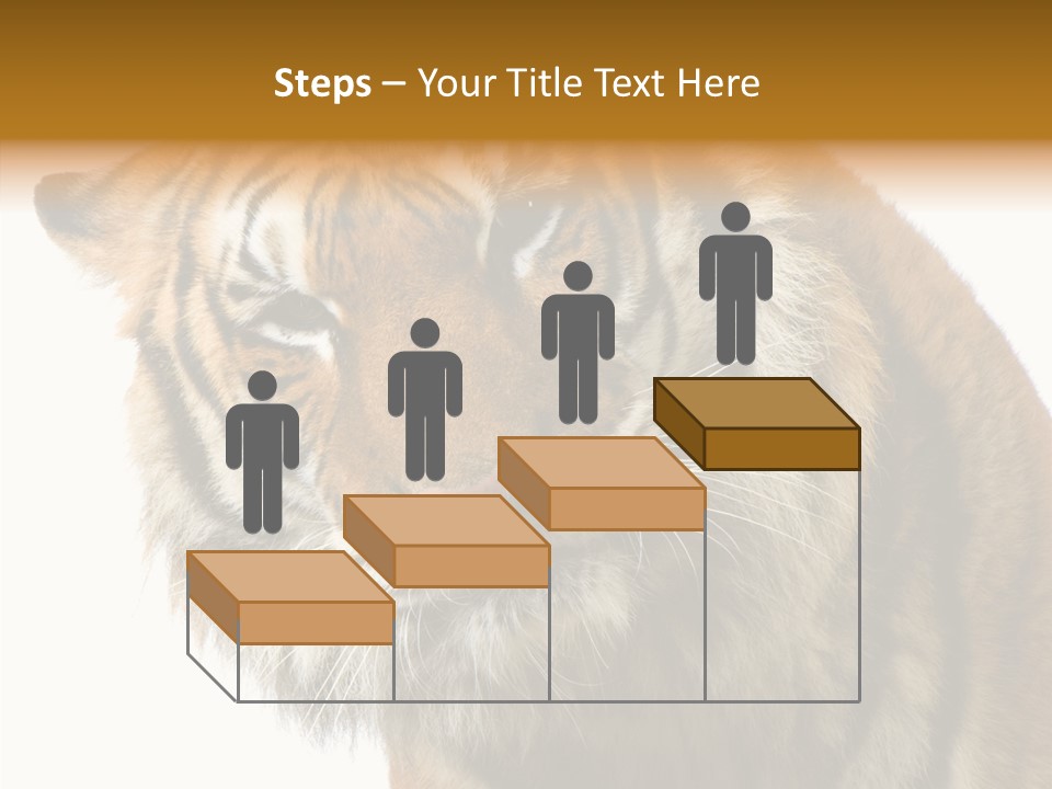 Big Shot Tiger PowerPoint Template