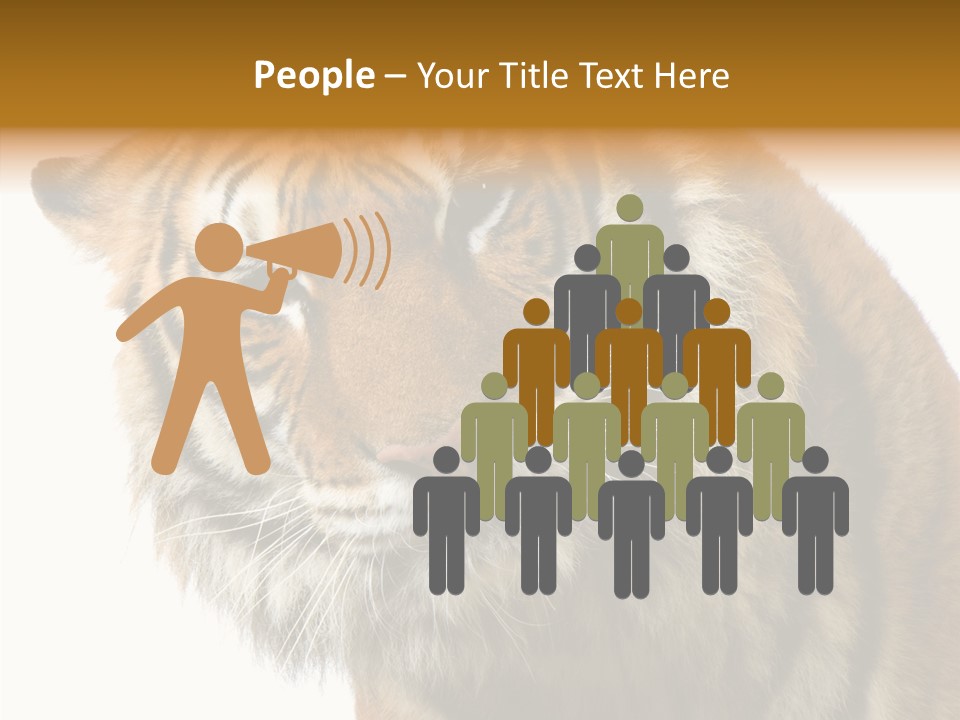 Big Shot Tiger PowerPoint Template