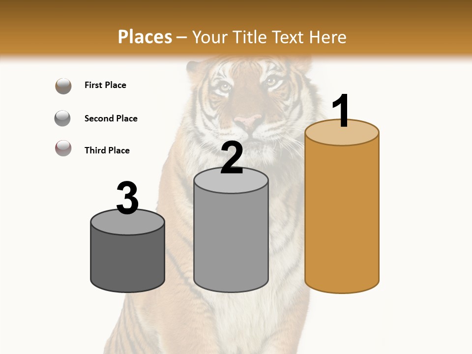 Big Carnivore Wild PowerPoint Template