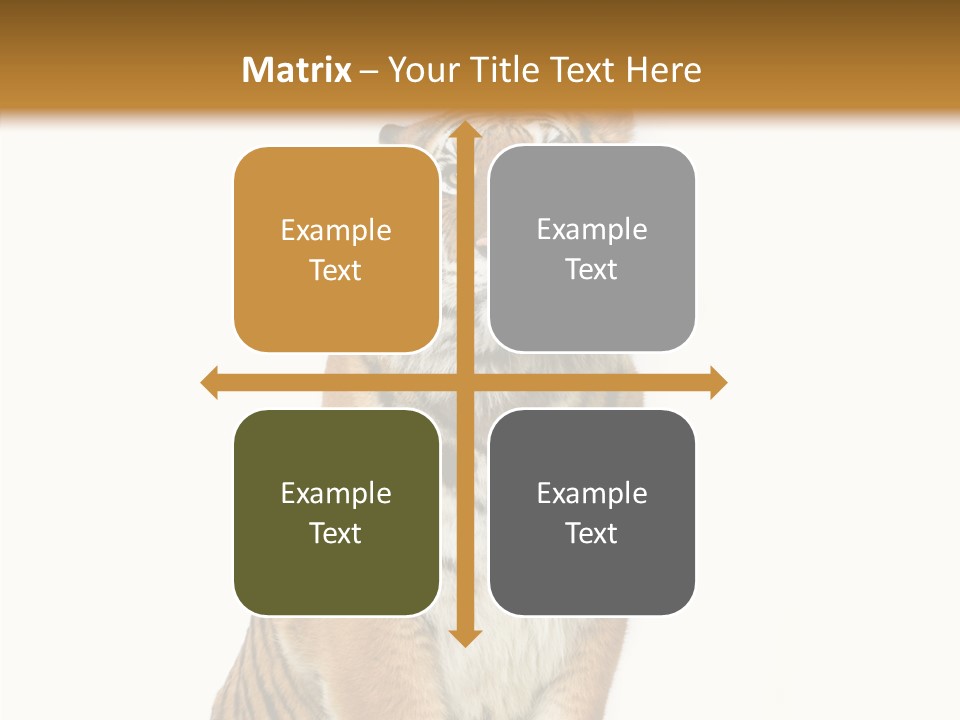 Big Carnivore Wild PowerPoint Template