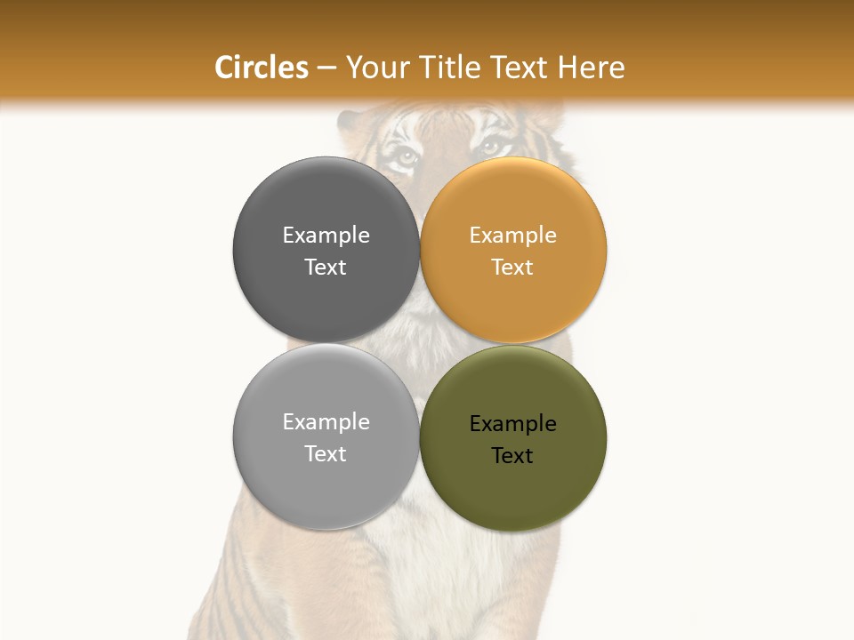 Big Carnivore Wild PowerPoint Template