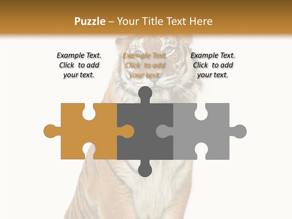 Big Carnivore Wild PowerPoint Template