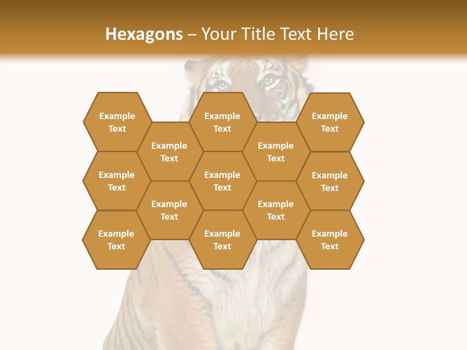 Big Carnivore Wild PowerPoint Template