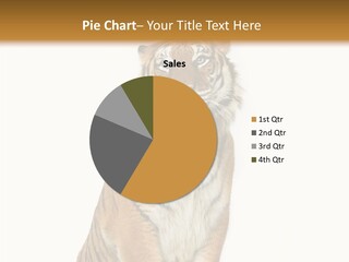 Big Carnivore Wild PowerPoint Template