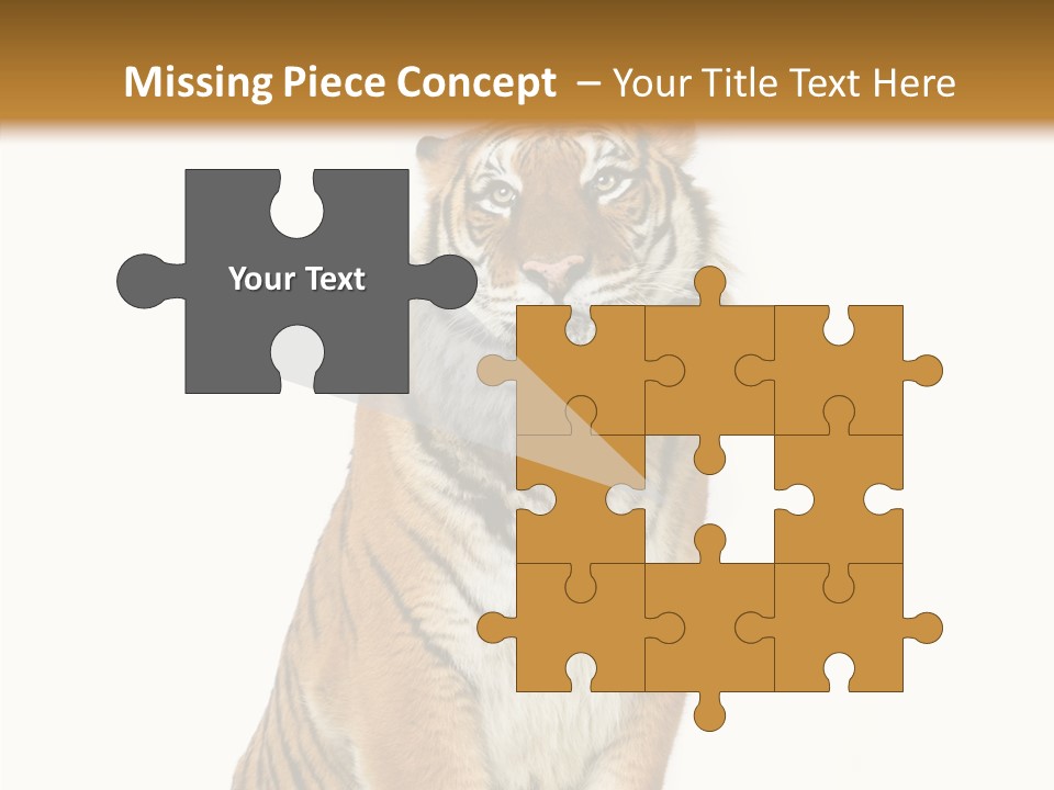 Big Carnivore Wild PowerPoint Template