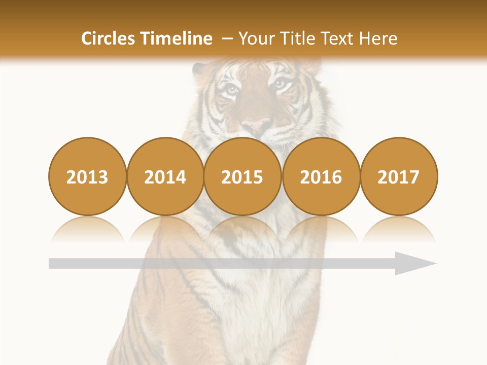 Big Carnivore Wild PowerPoint Template