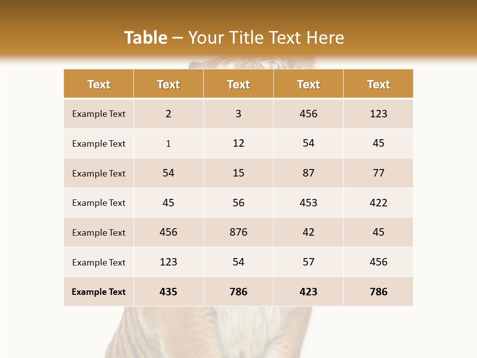 Big Carnivore Wild PowerPoint Template