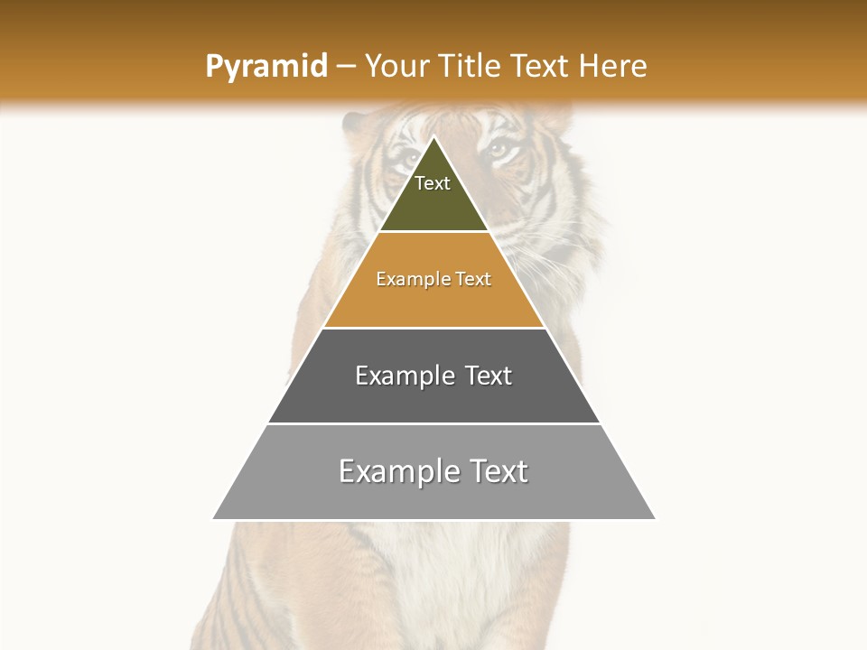 Big Carnivore Wild PowerPoint Template